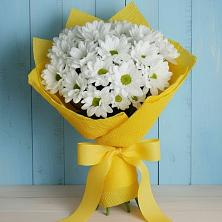Букет цветов из:  Хризантемы в Пионерский Ханты-Мансиский АО