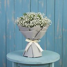 Букет цветов из:  Гипсофила #REPLACE_PRED# Пионерский Ханты-Мансиский АО