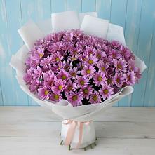 Букет цветов из:  Хризантемы в Пионерский Ханты-Мансиский АО