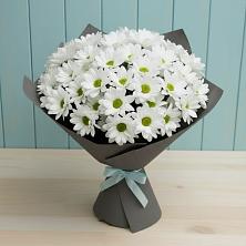 Букет цветов из:  Хризантемы в Пионерский Ханты-Мансиский АО