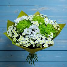 Букет цветов из:  Хризантемы в Пионерский Ханты-Мансиский АО