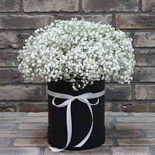 Цветочная композиция из Гипсофила в шляпной коробке в Пионерский Ханты-Мансиский АО