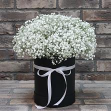 Цветочная композиция из Гипсофила в шляпной коробке в Пионерский Ханты-Мансиский АО