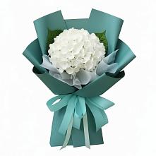 Букет цветов из:  Гортензия в Пионерский Ханты-Мансиский АО